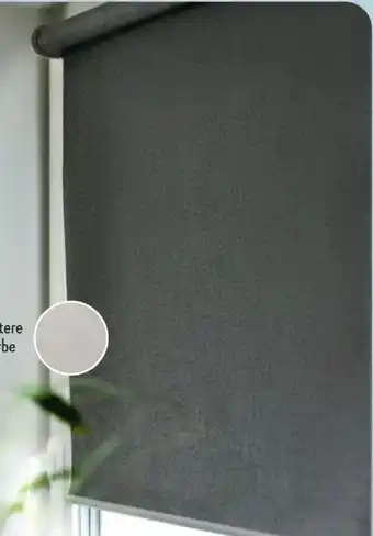 Aldi Süd Home Creation Verdunklungsrollo Angebot