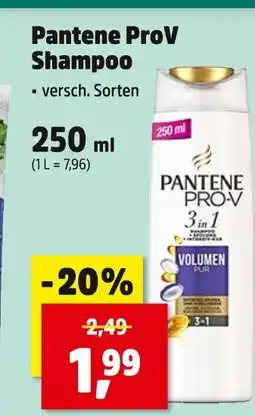 Thomas Philipps Pantene prov shampoo Angebot
