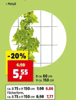 Thomas Philipps Rankgitter metall Angebot