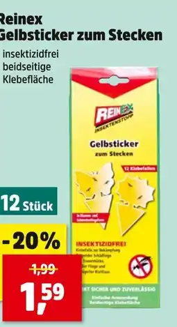 Thomas Philipps Reinex gelbsticker zum stecken Angebot
