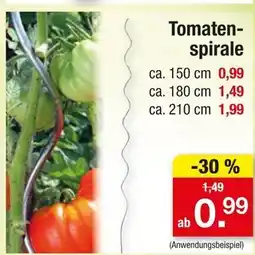Zimmermann Tomatenspirale ca. 150 cm Angebot
