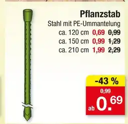 Zimmermann Pflanzstab ca. 120 cm Angebot