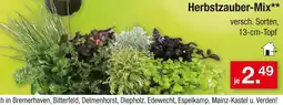 Zimmermann Herbstzauber-mix Angebot