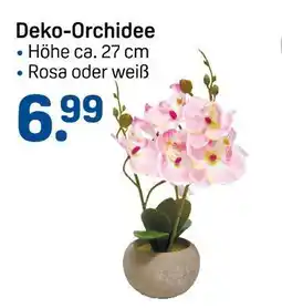 Rossmann Deko-orchidee Angebot