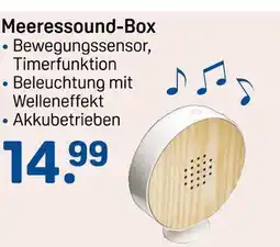 Rossmann Meeressound-box Angebot
