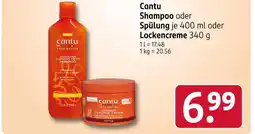 Rossmann Cantu shampoo oder spülung Angebot