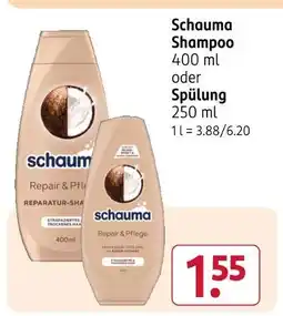 Rossmann Schauma shampoo Angebot