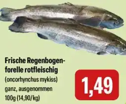 Feneberg Frische Regenbogenforelle rotfleischig Angebot