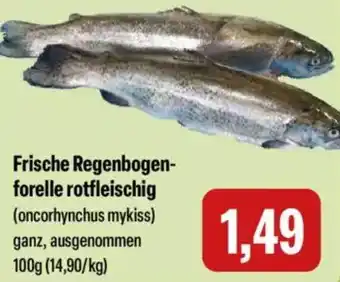 Feneberg Frische Regenbogenforelle rotfleischig Angebot
