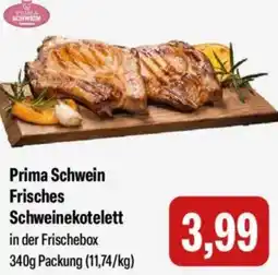 Feneberg Prima Schwein Frisches Schweinekotelett Angebot