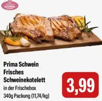 Feneberg Prima Schwein Frisches Schweinekotelett Angebot