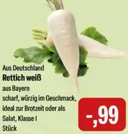 Feneberg Rettich weiß Angebot