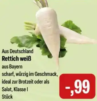 Feneberg Rettich weiß Angebot