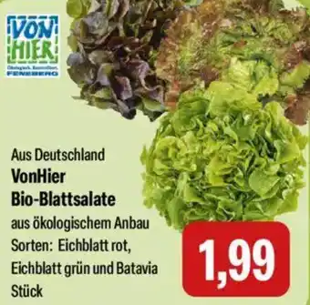 Feneberg VonHier Bio-Blattsalate Angebot