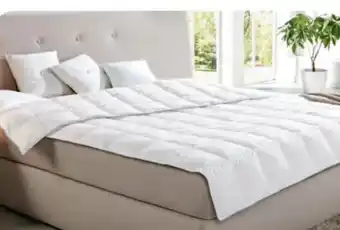Aldi Süd Ribeco Sommer-Daunendecke Angebot
