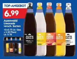 Hol'ab Getränkemarkt Auenwald Limonade Angebot
