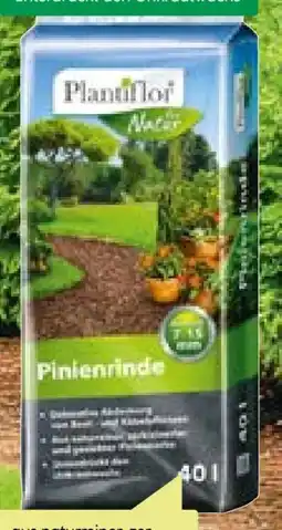BayWa Plantiflor Pinienrinde Angebot