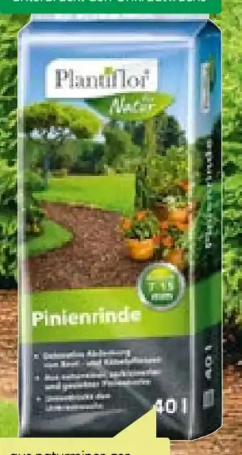 BayWa Plantiflor Pinienrinde Angebot