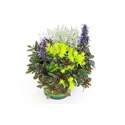 BayWa Herbstpflanzen-Trio TrioLino Angebot