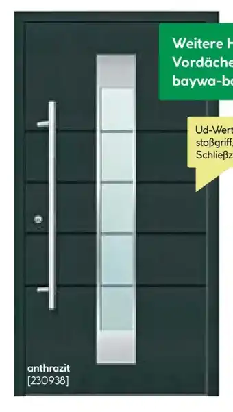 BayWa Aluminium Sicherheitshaustür Turin Angebot