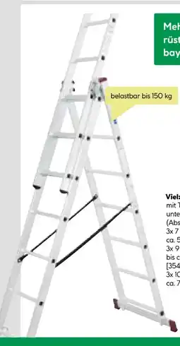 BayWa Vielzweckleiter Angebot