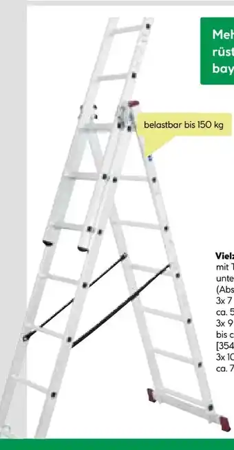 BayWa Vielzweckleiter Angebot