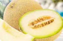Netto Marken-Discount MarktTag Galiamelone Angebot