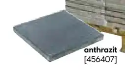 BayWa Beton-Gehwegplatte Angebot