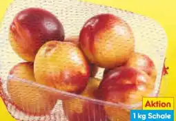 Netto Marken-Discount MarktTag Nektarinen Angebot