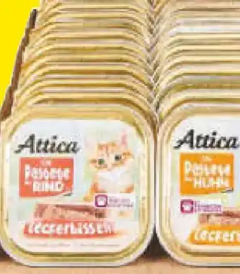 Netto Marken-Discount Attica Katzennahrung Angebot