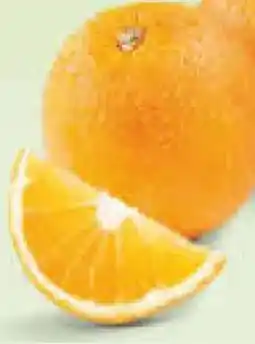 Netto Marken-Discount MarktTag Orangen Angebot