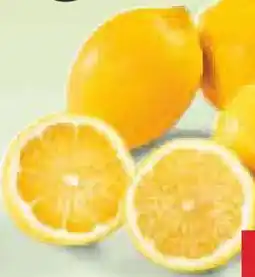 Netto Marken-Discount Zitronen LemonGold Angebot