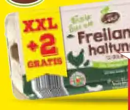 Netto Marken-Discount Vom Land Eier aus Freilandhaltung Angebot