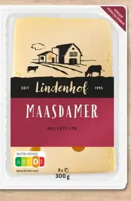 PENNY Lindenhof Maasdamer Angebot