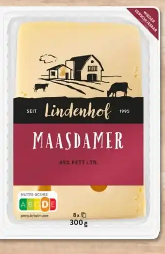 PENNY Lindenhof Maasdamer Angebot