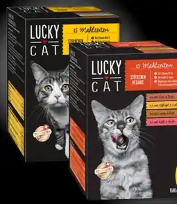 PENNY Lucky Cat Mahlzeiten Angebot