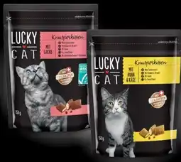 PENNY Lucky Cat Knusperkissen Angebot