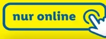Lidl Action 22 Angebot