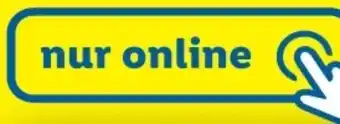 Lidl Action 45 Angebot
