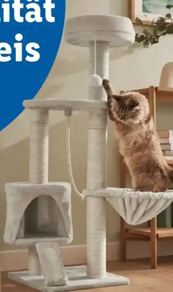 Lidl zoofari Kratzbaum Angebot