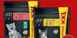 PENNY Lucky Cat XXL Knusperkissen Angebot