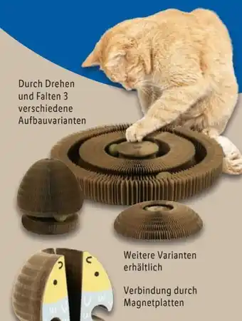 Lidl zoofari 3-in-1- Kratzpappe Angebot