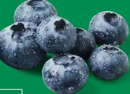 Lidl Heidelbeeren Angebot