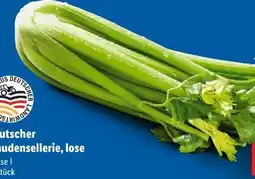 Lidl Staudensellerie Angebot