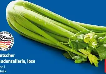 Lidl Staudensellerie Angebot