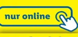 Lidl Action 33 Angebot
