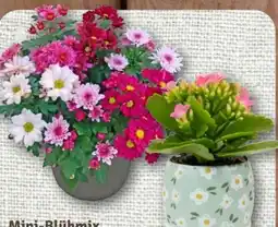 nahkauf Mini Bluhmix Angebot