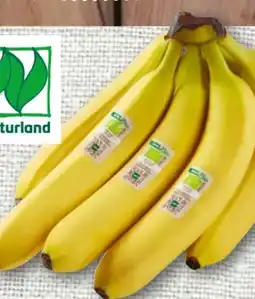 nahkauf Rewe Bio Bio-Bananen Angebot