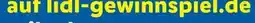 Lidl Action 17 Angebot