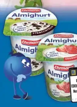E-Center Ehrmann Almighurt Angebot